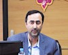 بید بلند، لردگان و ایلام بهره برداری می شوند