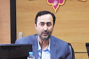 بید بلند، لردگان و ایلام بهره برداری می شوند