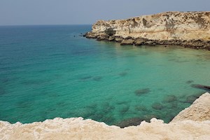 پاکسازی ساحل نایبند