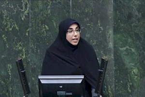 اعتراض نماینده دیر به اختصاص درآمد ناشی از عوارض آلایندگی عسلویه به سایر شهرستانها