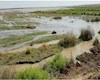 مشارکت مناطق نفت‌خیز جنوب در تخلیه آب مزارع روستاهای سوسنگرد