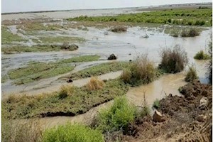 مشارکت مناطق نفت‌خیز جنوب در تخلیه آب مزارع روستاهای سوسنگرد