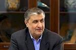 ورود رئیس سازمان انرژی به وین