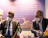 دیدار مدیرعامل شرکت ملی گاز ایران و دبیرکل جی‌ئی‌سی‌اف
