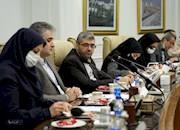   دیدار معاون امور بین‌الملل و بازرگانی وزیر نفت با هیئتی از تاجیکستان