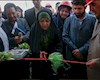 افتتاح چند طرح نفتی و پتروشیمی